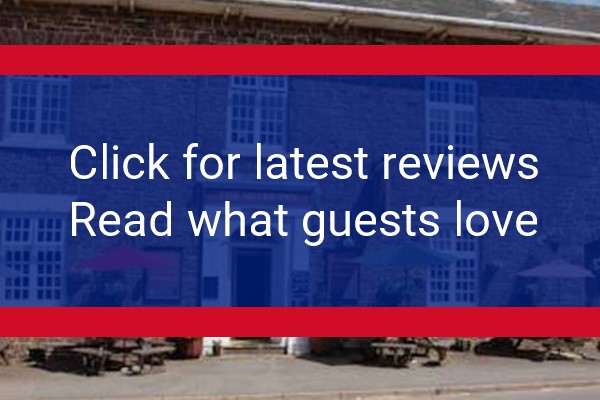 www.themitreinn-witheridge.co.uk - check out latest independent reviews