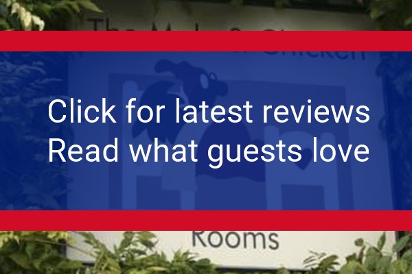 www.themoleandchicken.co.uk - check out latest independent reviews