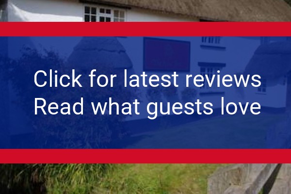www.thenewinncoleford.co.uk - check out latest independent reviews