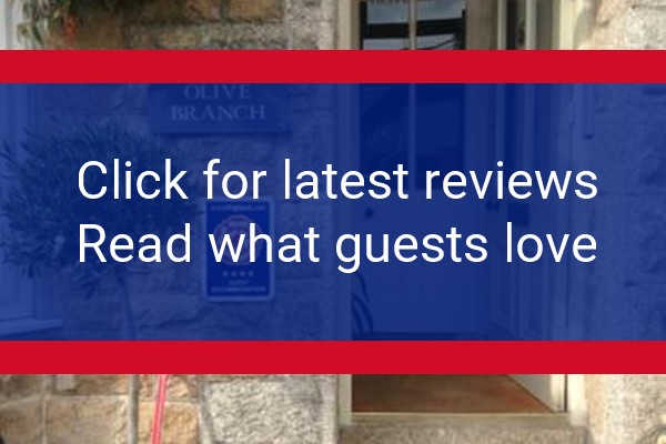 www.theolivebranchstives.co.uk - check out latest independent reviews