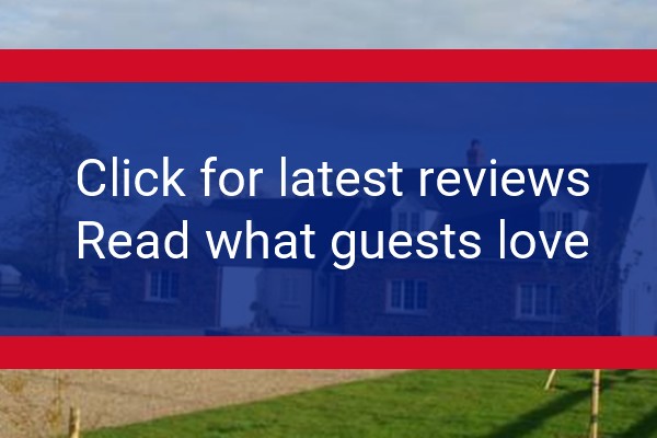 www.thepaddockwales.co.uk - check out latest independent reviews