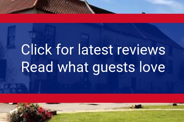 www.thepickledparson.co.uk - check out latest independent reviews