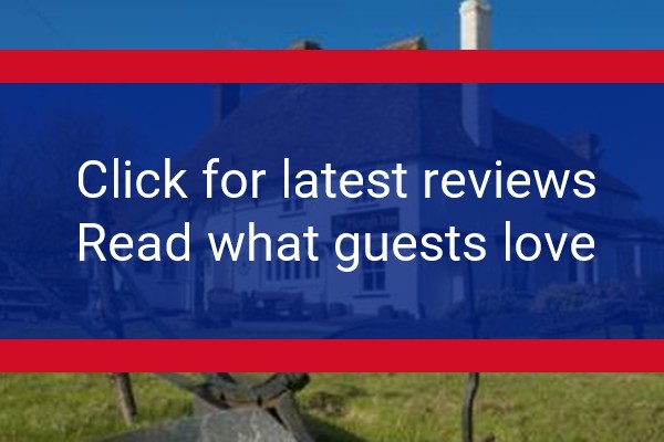 www.theploughinnstalisfield.co.uk - check out latest independent reviews