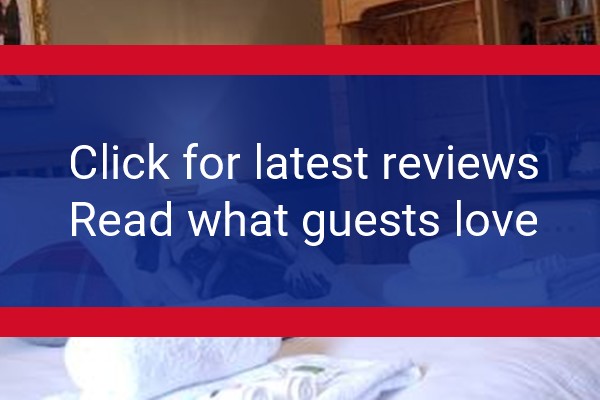 www.thepugandgreyhound.com - check out latest independent reviews
