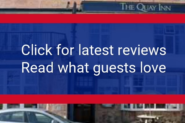 www.thequayinnminehead.co.uk - check out latest independent reviews