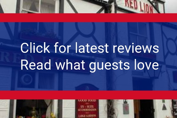www.theredlionmeliden.co.uk - check out latest independent reviews