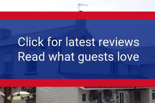 www.therisingsunpandy.com - check out latest independent reviews