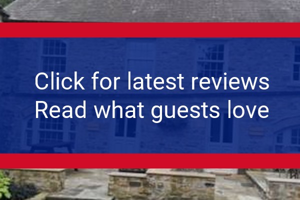 www.thesaddleroom.co.uk - check out latest independent reviews