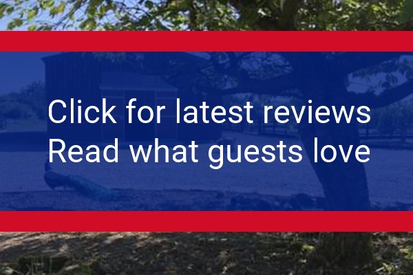 www.thesaddlerycheshire.co.uk - check out latest independent reviews