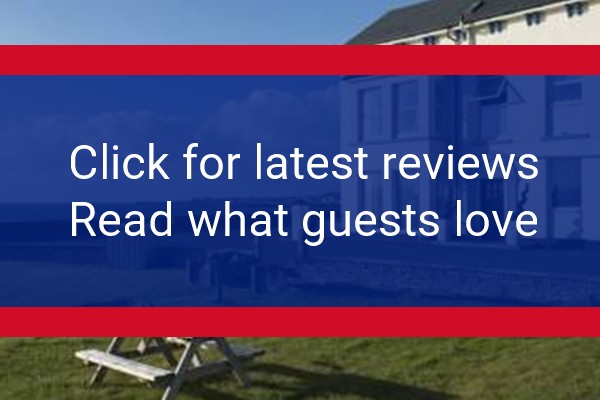 www.theshoregansey.com - check out latest independent reviews