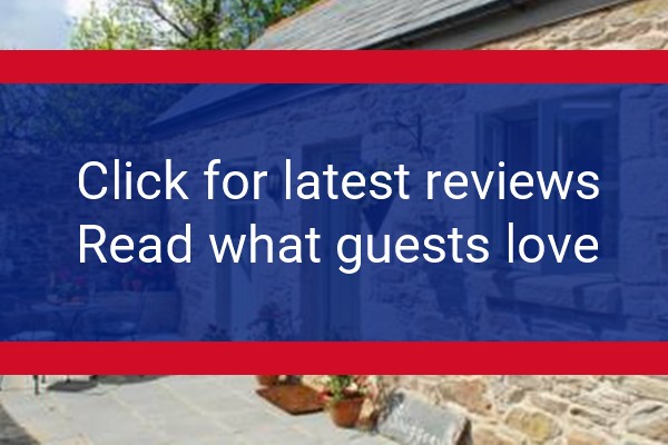 www.thesnuggerycornwall.co.uk - check out latest independent reviews
