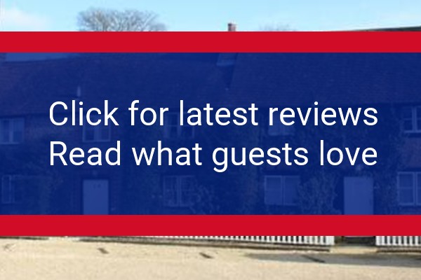 www.thesquirrel-hurtmore.co.uk - check out latest independent reviews