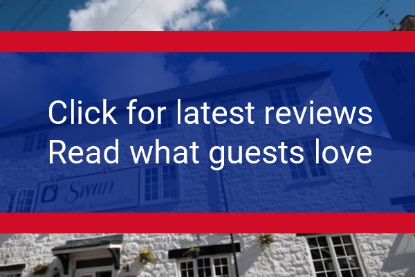 www.theswan.co - check out latest independent reviews