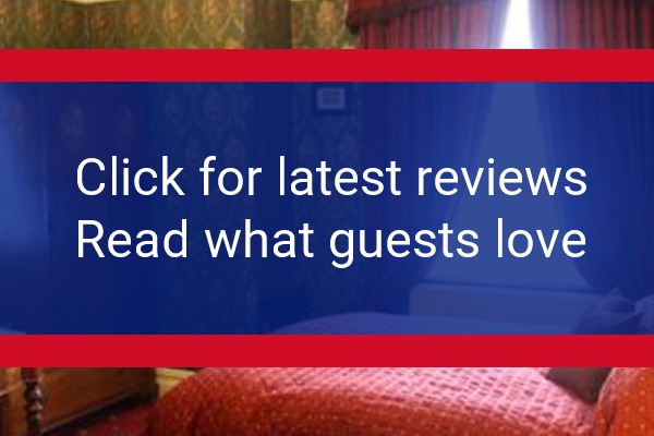www.thesycamore.co.uk - check out latest independent reviews