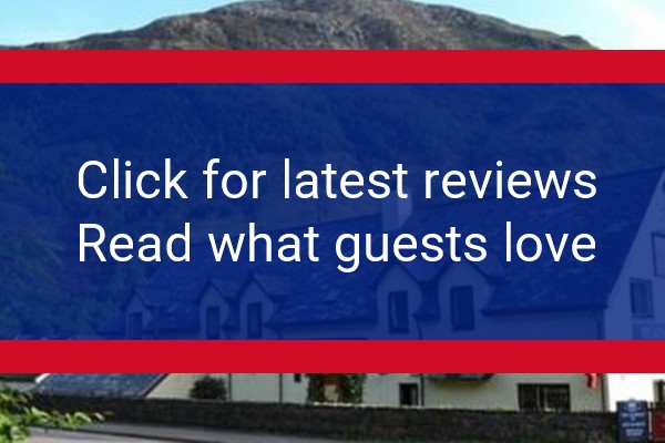 www.thetailraceinn.co.uk - check out latest independent reviews