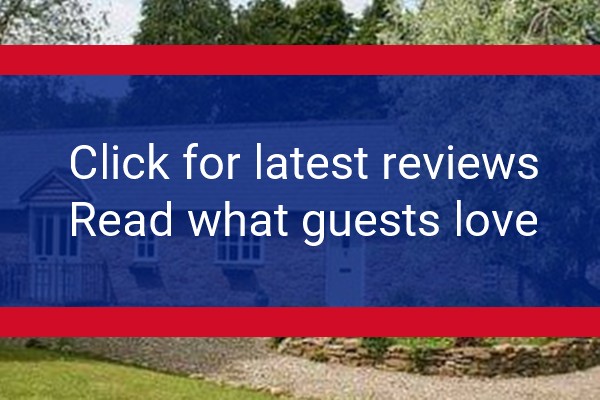 www.thewalkmill.co.uk - check out latest independent reviews