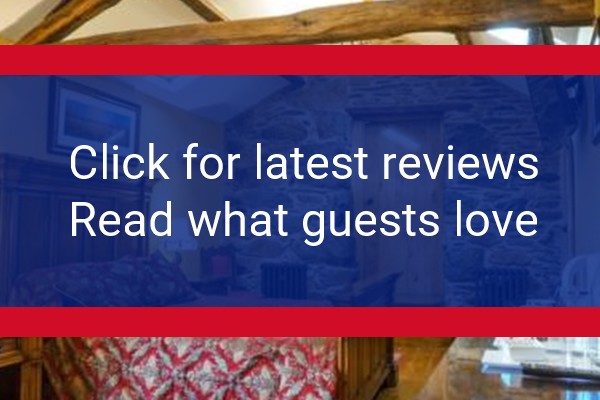 www.thewayside.uk - check out latest independent reviews