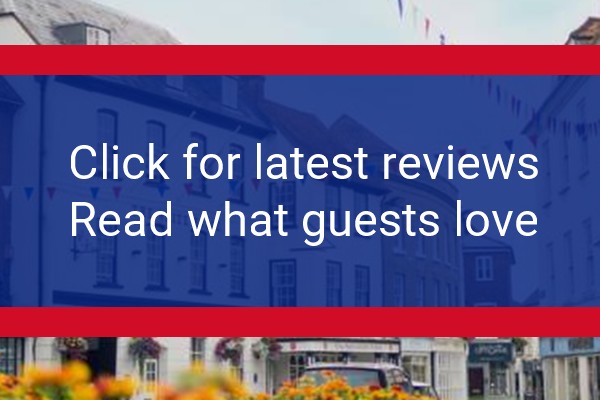 www.thewhitehorseromsey.co.uk - check out latest independent reviews
