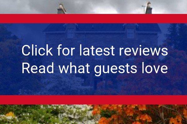 www.thistlehouseguesthouse.com - check out latest independent reviews