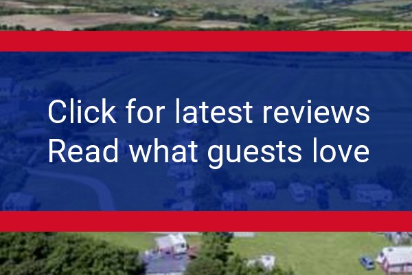www.treambleholidays.co.uk - check out latest independent reviews
