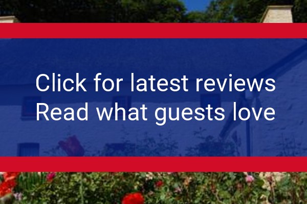 www.treberfedd.co.uk - check out latest independent reviews