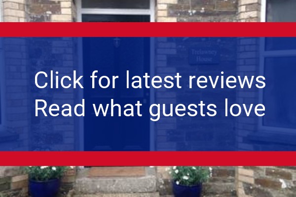 www.trelawneybedbreakfast.co.uk - check out latest independent reviews