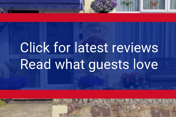 www.trevellisbedandbreakfast.com - check out latest independent reviews
