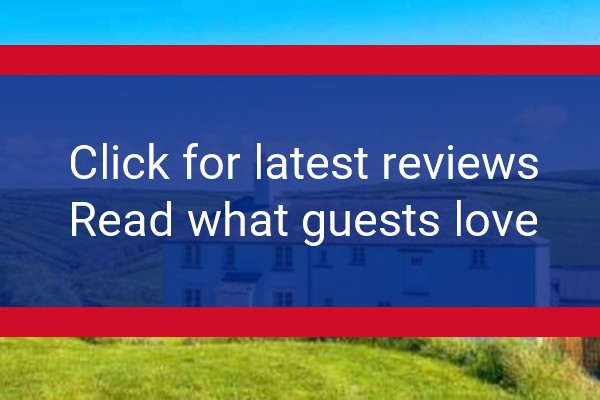 www.trevigue.com - check out latest independent reviews