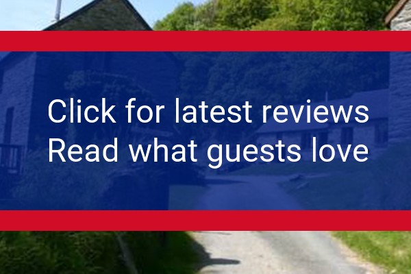 www.troedyrhiw.com - check out latest independent reviews