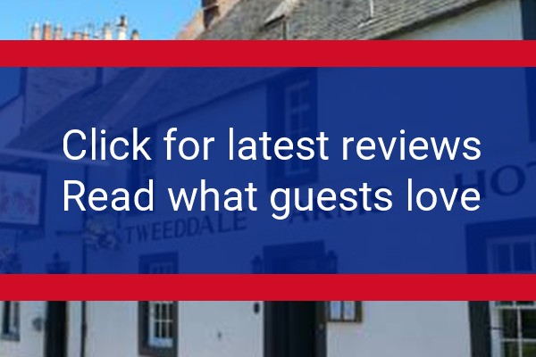 www.tweeddalearmshotel.com - check out latest independent reviews
