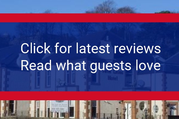 www.twinlionshotel.co.uk - check out latest independent reviews
