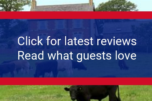 www.tyddynchambers.co.uk - check out latest independent reviews