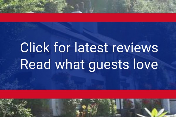 www.tygwynhotel.co.uk - check out latest independent reviews