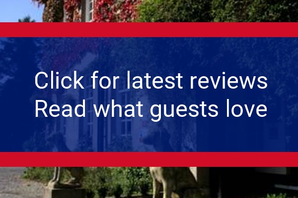 www.tynewyddcountryhotel.co.uk - check out latest independent reviews