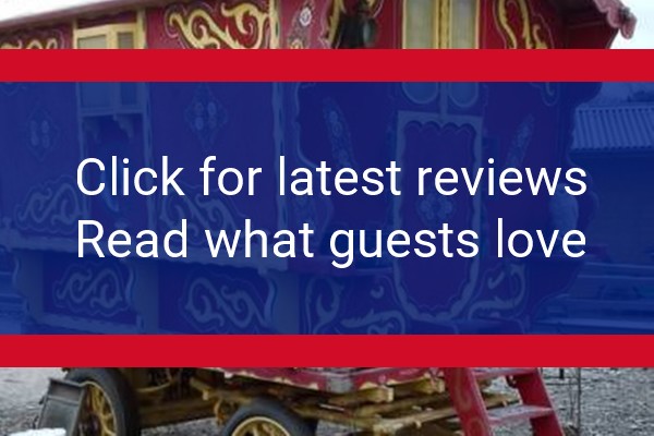 www.valley-view-rhayader.co.uk - check out latest independent reviews