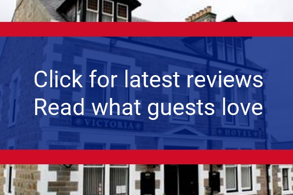 www.victoriahotelptk.co.uk - check out latest independent reviews