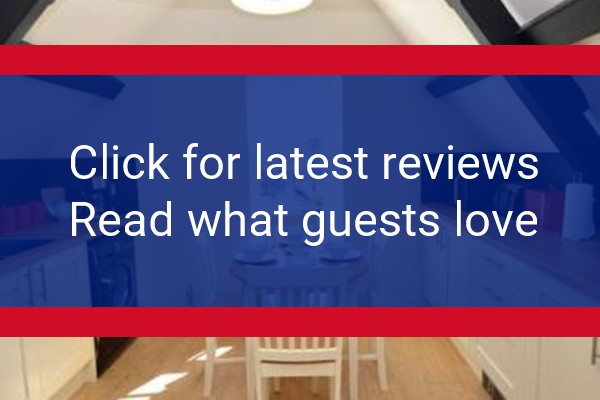 www.vivianchicago.com - check out latest independent reviews