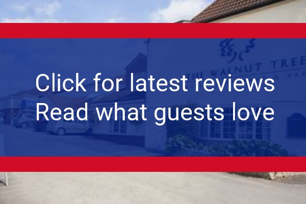 www.walnuttreehotel.com - check out latest independent reviews