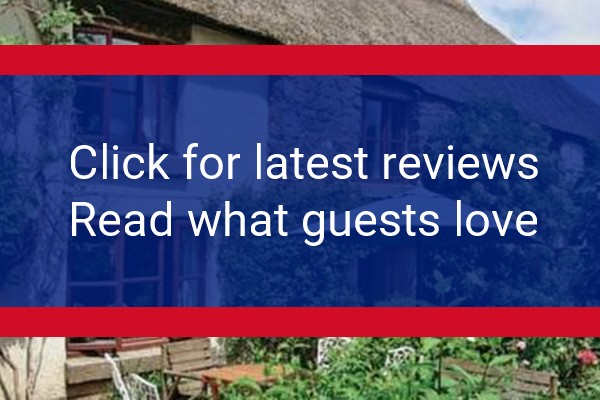 www.warmhillfarm.co.uk - check out latest independent reviews