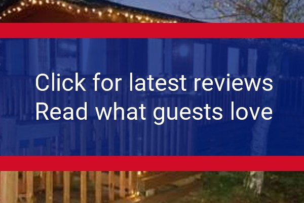 www.welcomebearlodges.co.uk - check out latest independent reviews