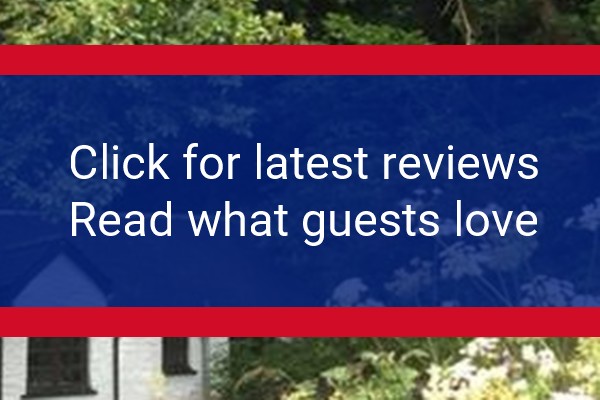www.welshwildlife.org - check out latest independent reviews