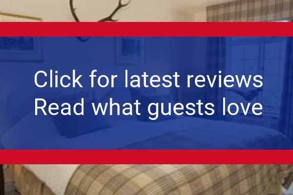 www.wensleydaleheifer.co.uk - check out latest independent reviews