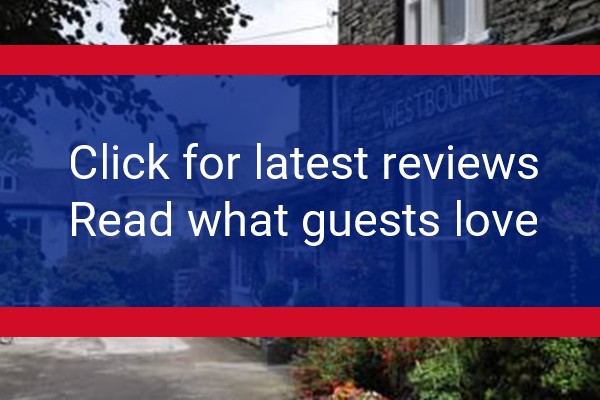 www.westbourne-lakes.co.uk - check out latest independent reviews