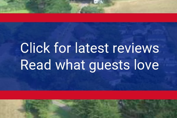 www.whealrodney.co.uk - check out latest independent reviews
