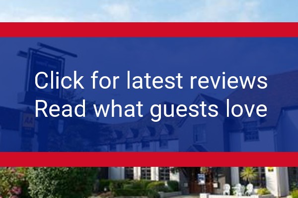 www.white-swan-arundel.co.uk - check out latest independent reviews