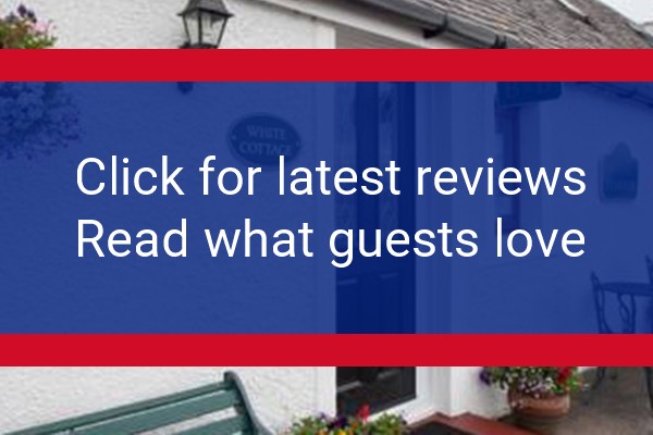 www.whitecottagetearoom.com - check out latest independent reviews