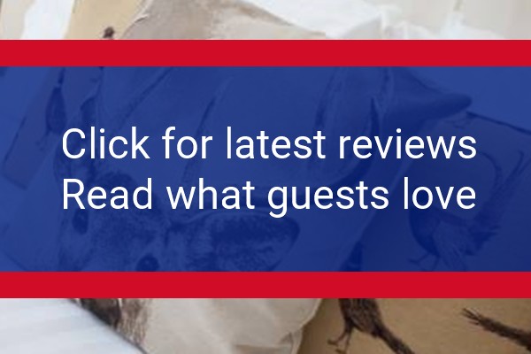 www.whitehartholybourne.com - check out latest independent reviews