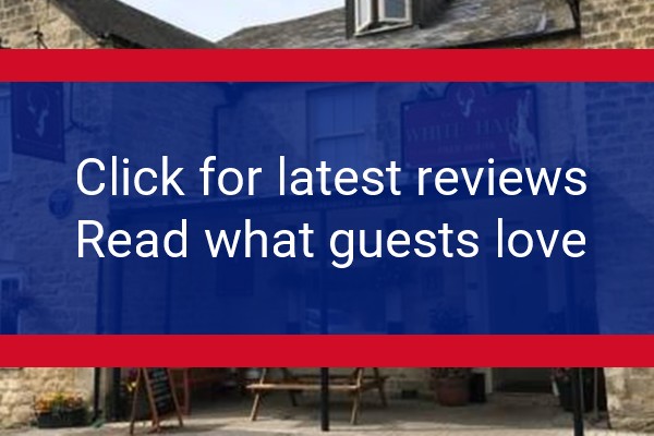 www.whitehartleonardstanley.com - check out latest independent reviews