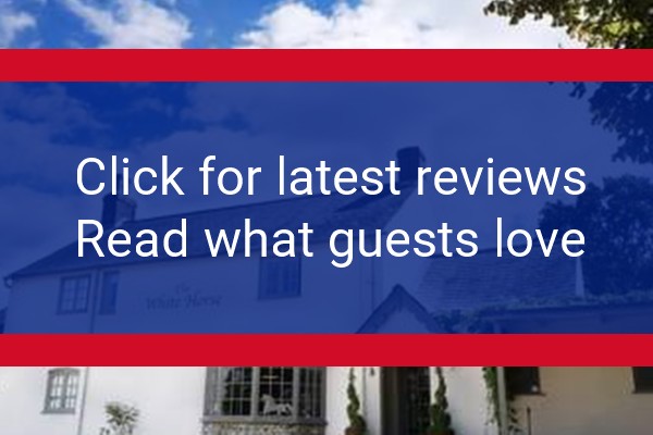 www.whitehorsegraffham.com - check out latest independent reviews