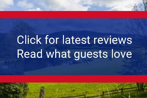 www.whitestonecliffe.com - check out latest independent reviews